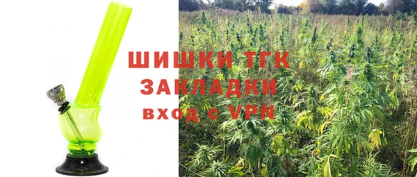 spice Пересвет