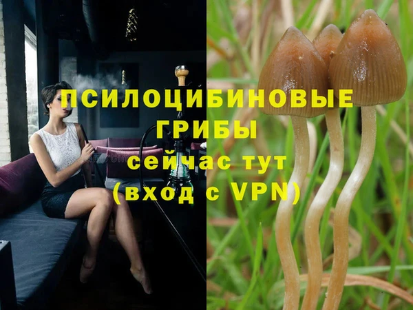 дмт Абдулино