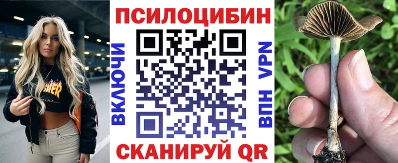 купить наркоту  Черногорск  ссылка на мегу сайт  Галлюциногенные грибы MAGIC MUSHROOMS 