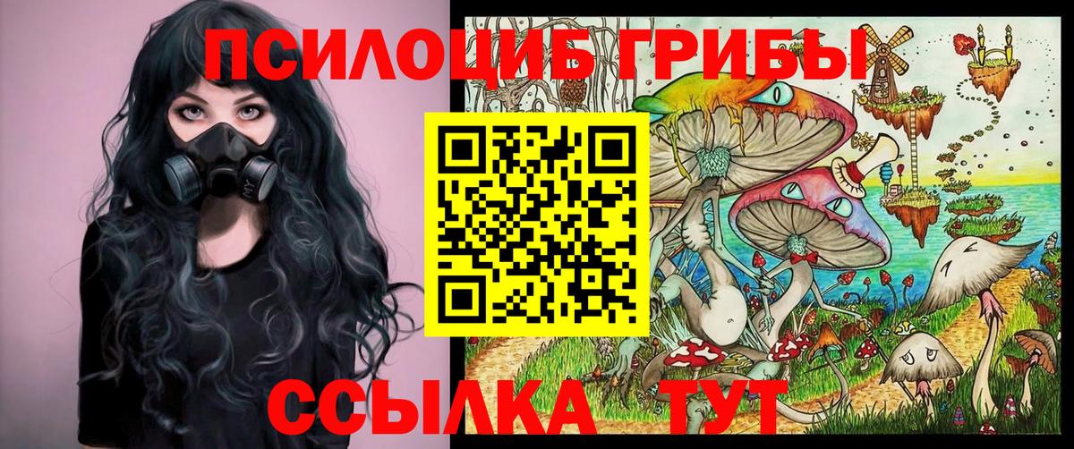 Псилоцибиновые грибы Psilocybine cubensis Черногорск