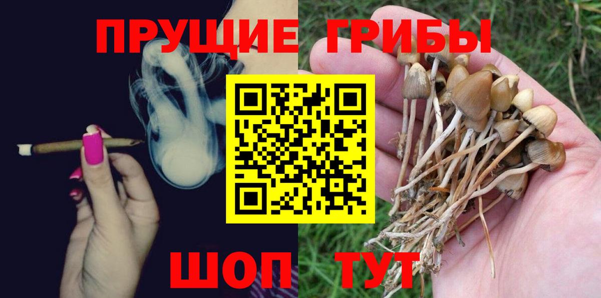 Псилоцибиновые грибы мицелий  Вход с VPN  Черногорск  Галлюциногенные грибы мухоморы 