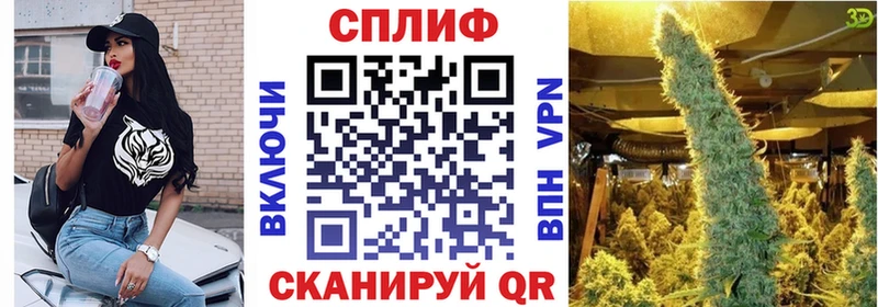 как найти наркотики  Черногорск  Бошки Шишки планчик 